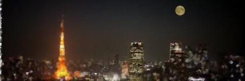 mftwy's profile banner image