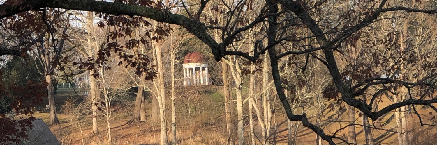 Elizabeth Chew banner