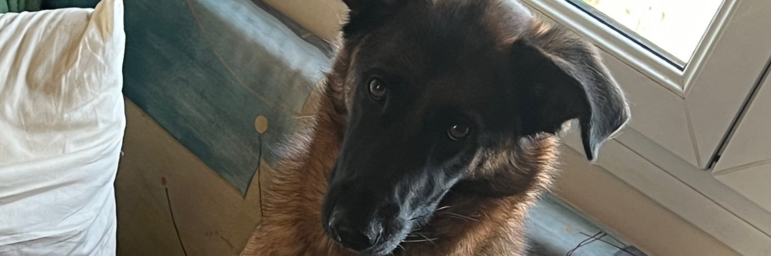 Rene19100's profile banner image
