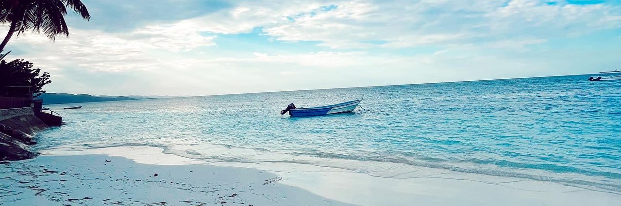 Jacmel Sanchez🎈 banner