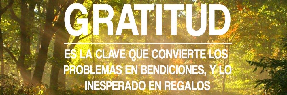 serviryeducar's profile banner image