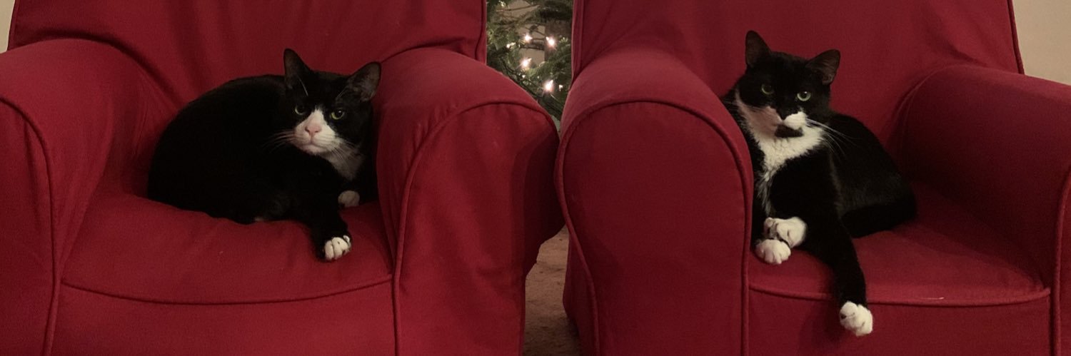 thebigjuj's profile banner image