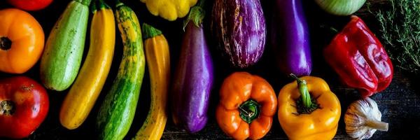 GretheVan Profile Banner