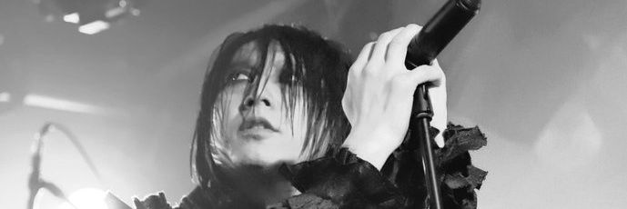 dieS official's banner