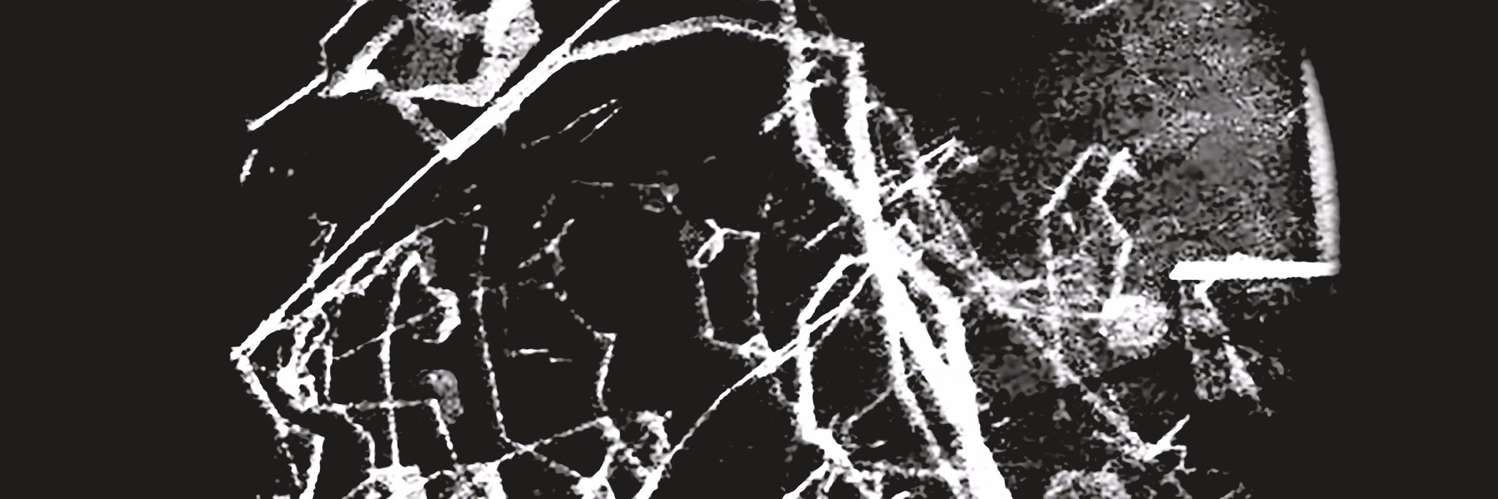 MarcoUnzip's profile banner image