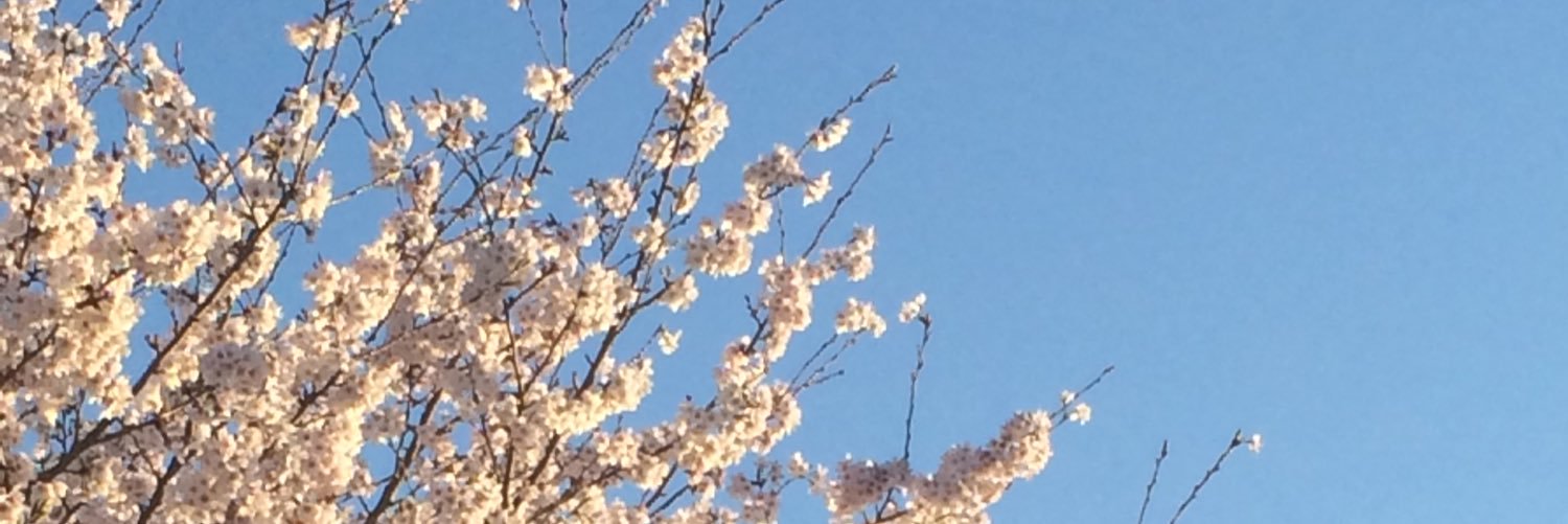 ioiotouken's profile banner image