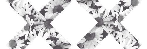 SeraphinaWhite's profile banner image