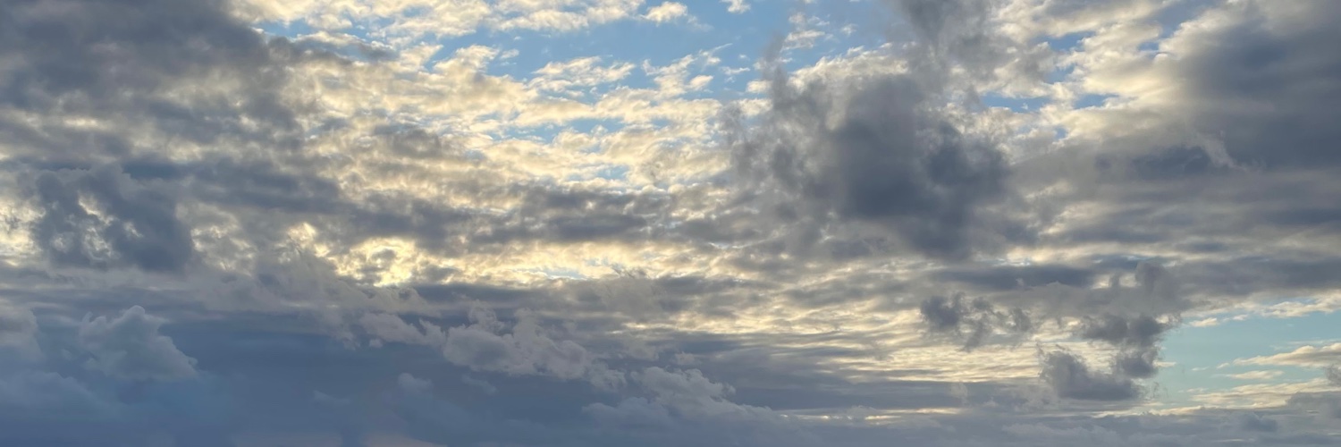 FitMaLixi's profile banner image