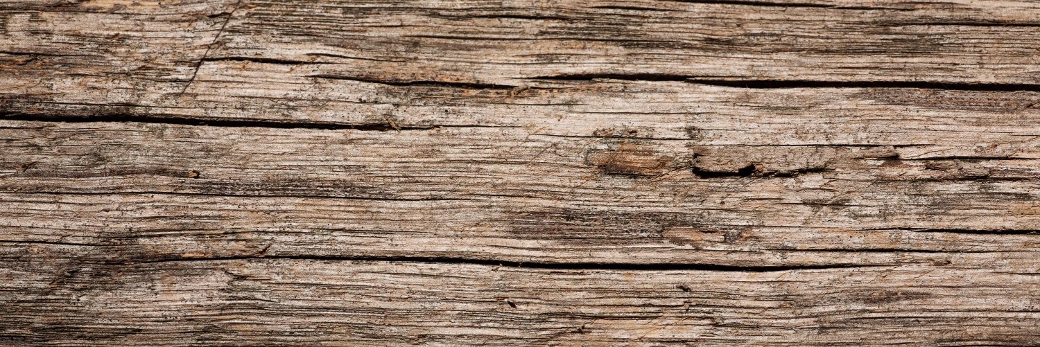 Michael Accardi banner