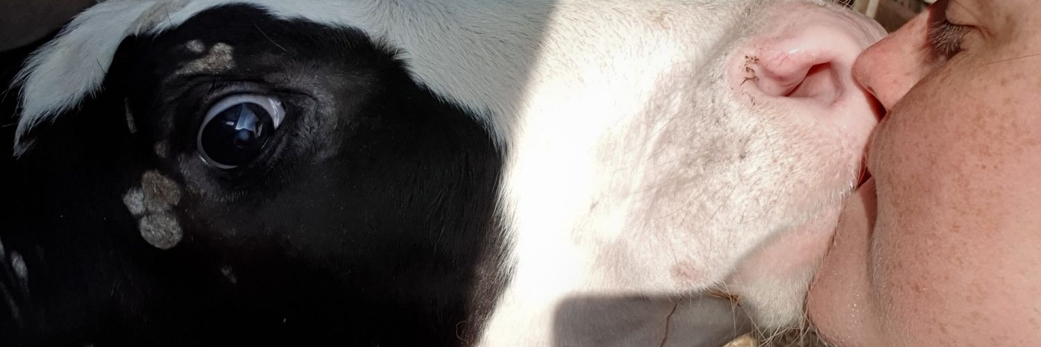 beckaj24's profile banner image