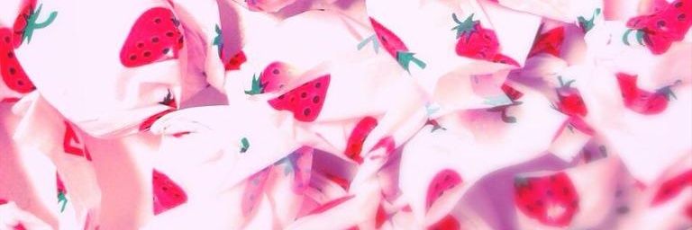 juri___bird's profile banner image