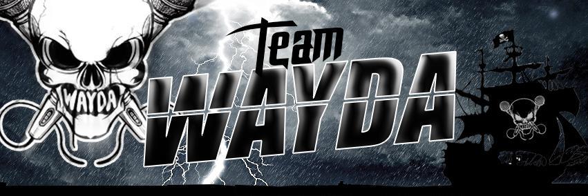 TeamWayda's profile banner image