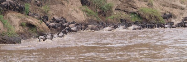 eric_vk Profile Banner