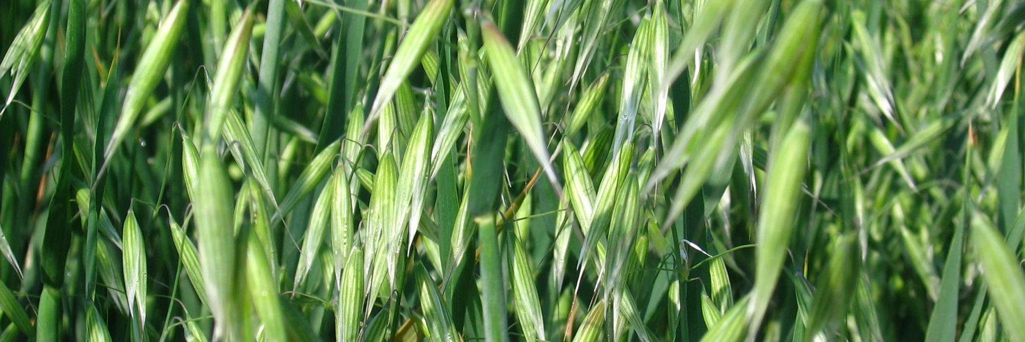 crisjval's profile banner image