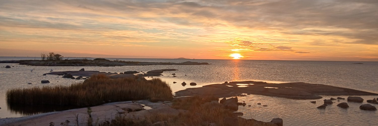 Admiral von Schneider banner