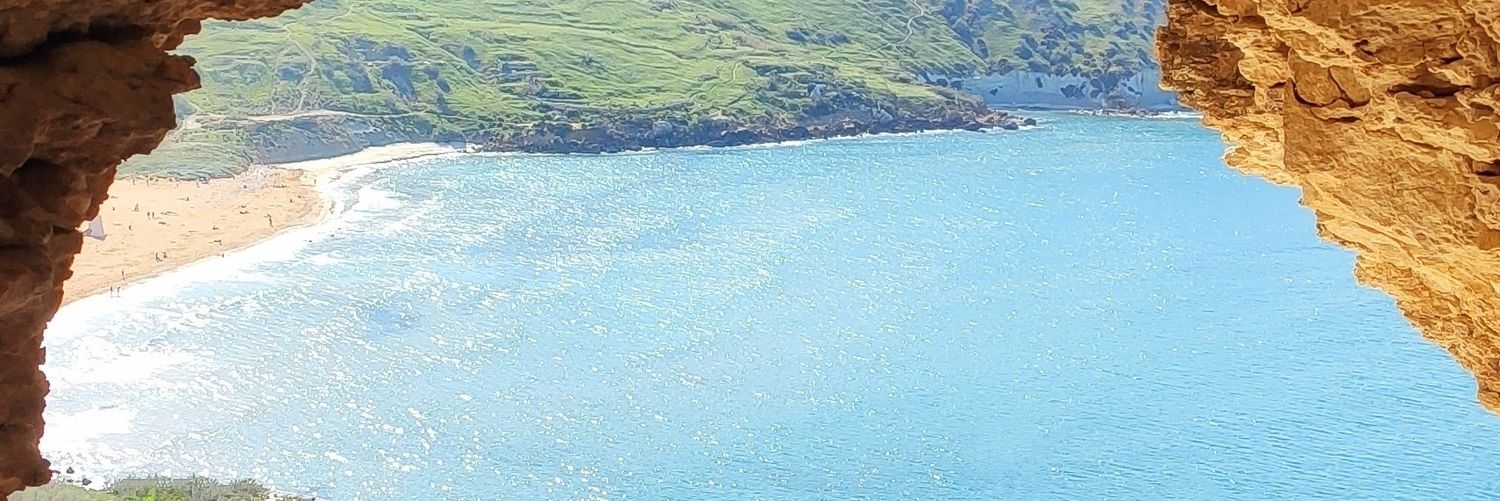 mornrose's profile banner image