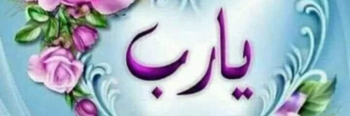 ali_net100's profile banner image
