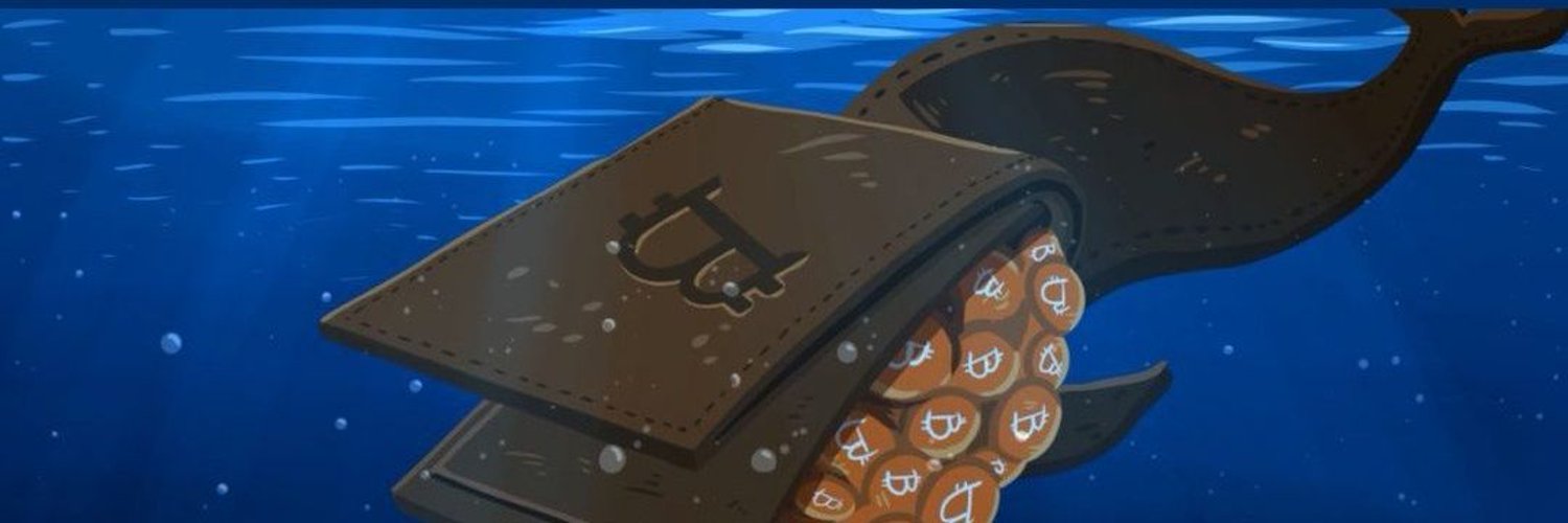 panda7mau's profile banner image
