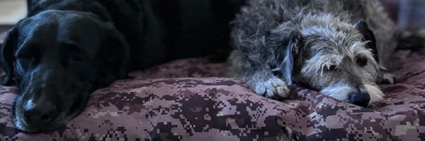 Lideyavi Profile Banner