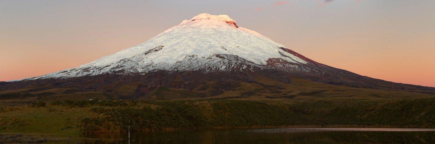 Mario Naranjo-Tovar banner