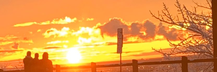 blogmtl's profile banner image