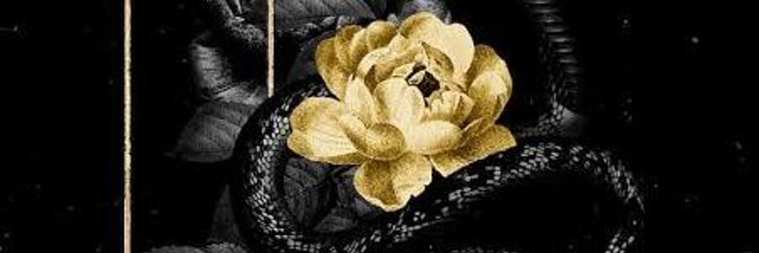 P.Quinn (ถ้าเห็นตอบทวิตเก่าๆไม่ต้องตกใจ) banner