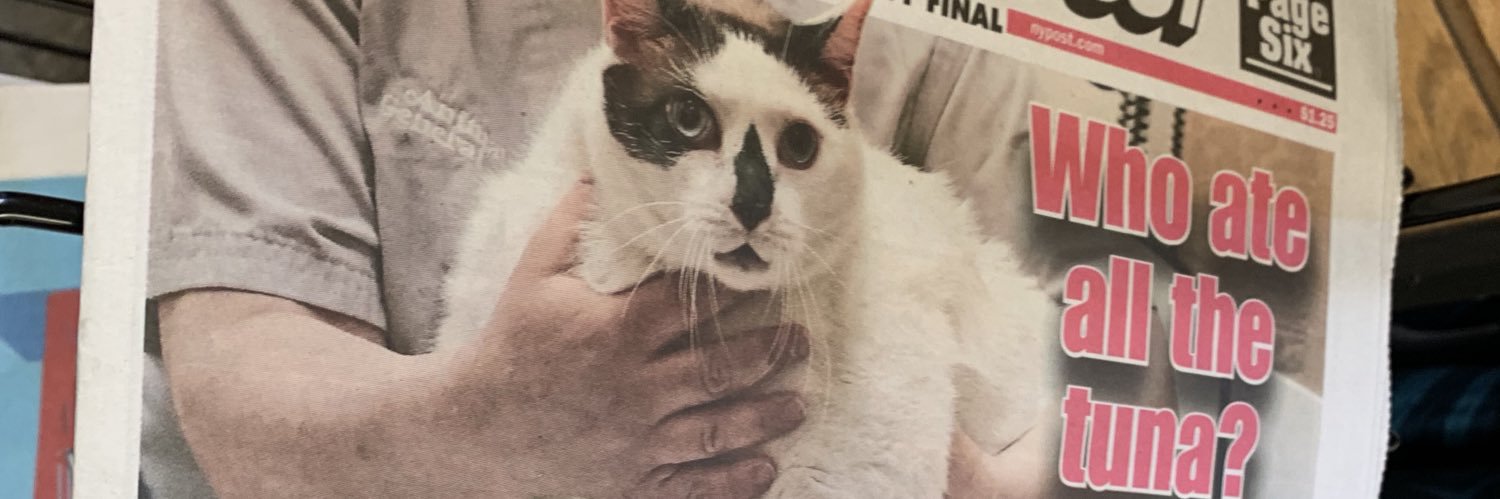 FosterTheStove's profile banner image