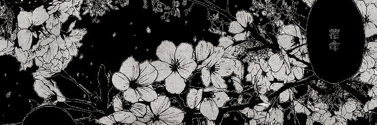 o_pranav_o's profile banner image
