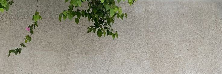 fagotisme's profile banner image