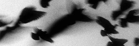 corvainous's profile banner image