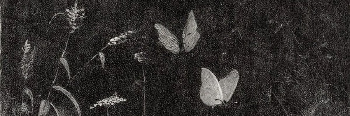 Leanna banner