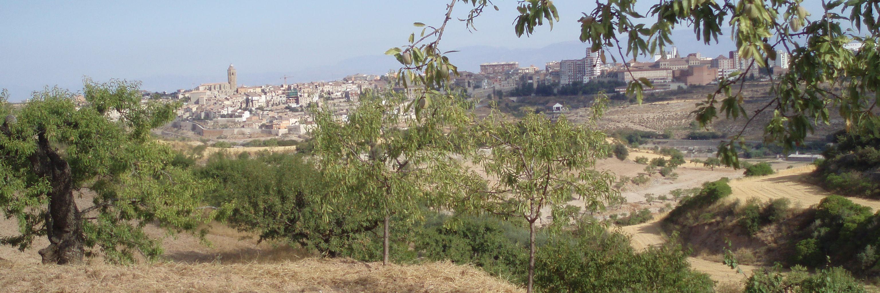 MovEsqCervera's profile banner image