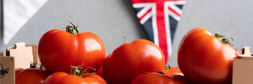 BritishTomatoGrowers banner