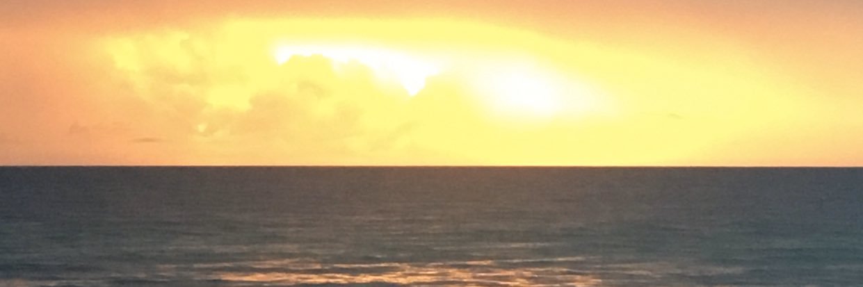 Don_C banner