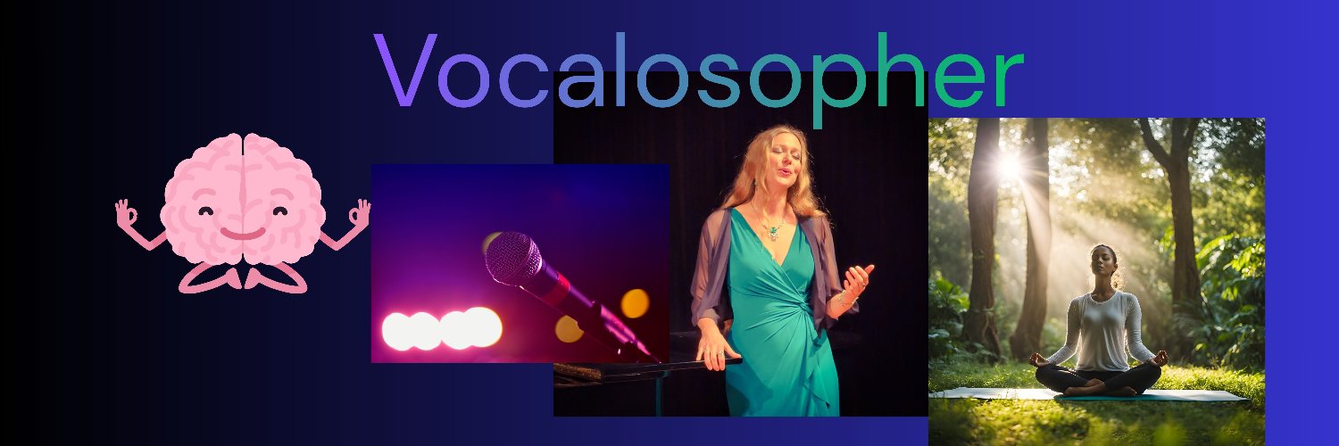 Vocalosopher's profile banner image