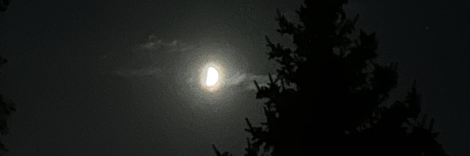 Guswuzhere's profile banner image