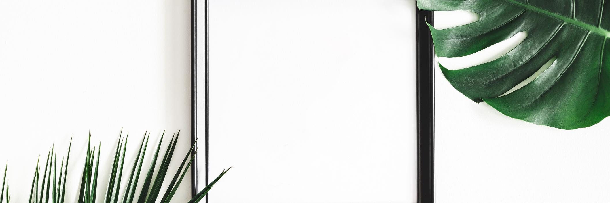 tracychambers's profile banner image