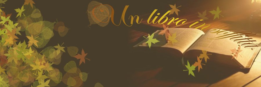 Libroinsoffitta's profile banner image