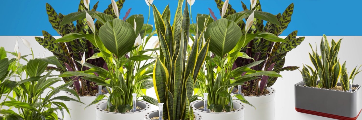AIRYgreentech's profile banner image