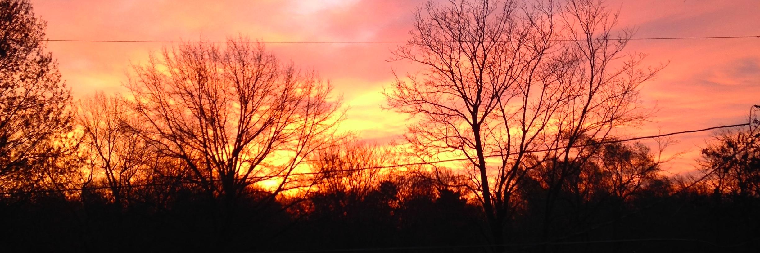 Ms_KramerSMSD's profile banner image