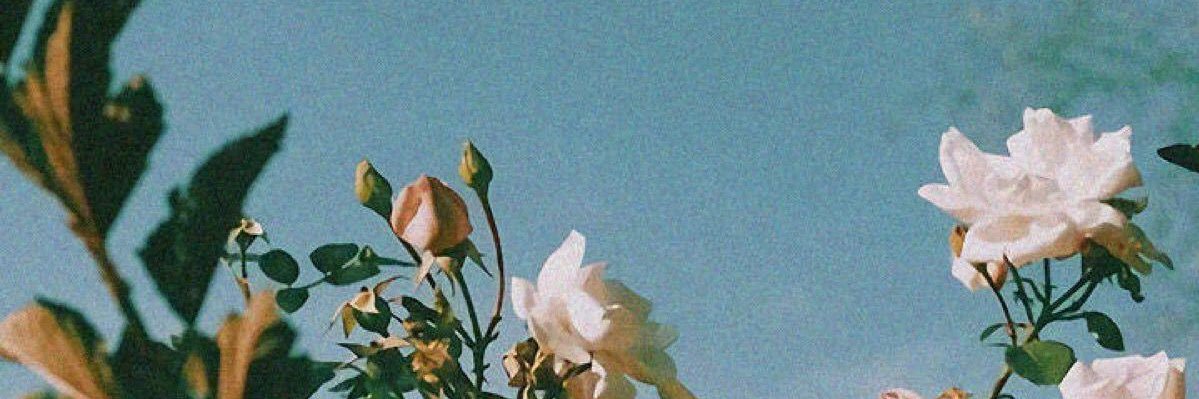Megan banner