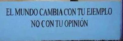 Paola Fune banner