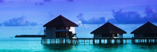 iconj2's profile banner image