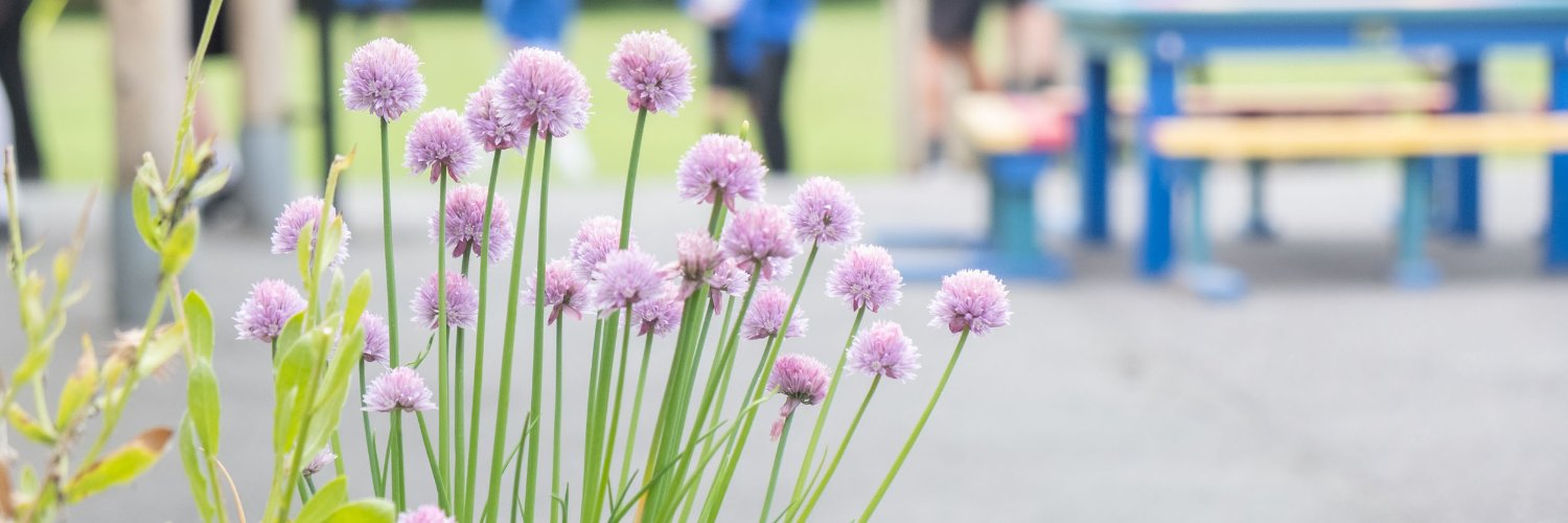 Newburgh Primary banner