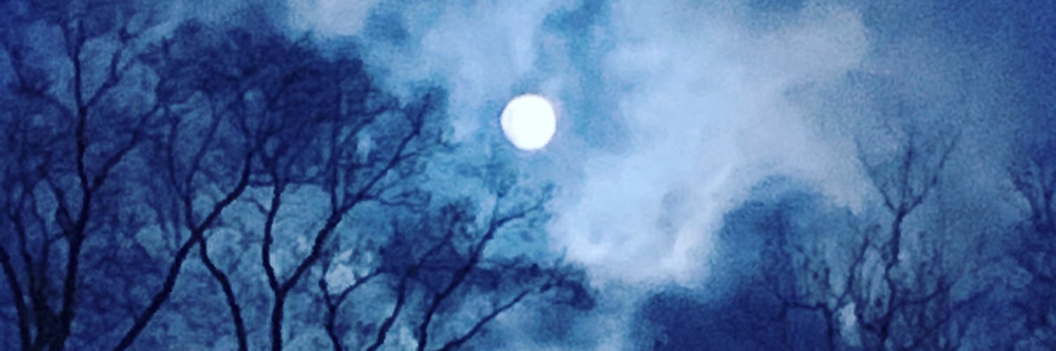 TheFatApple's profile banner image