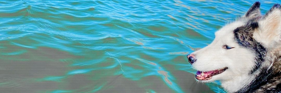 Jeff_710's profile banner image