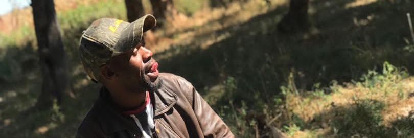 wellfapubanda's profile banner image