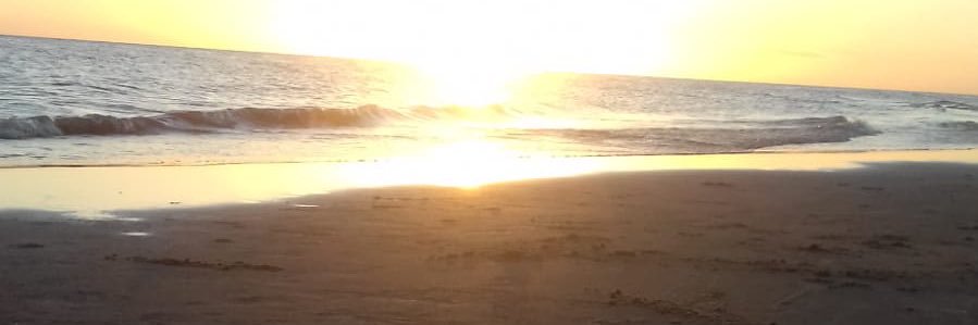 Dina_Rodriguez's profile banner image