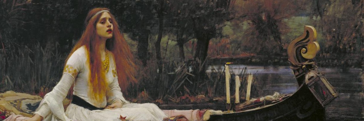 Phoebe2372's profile banner image