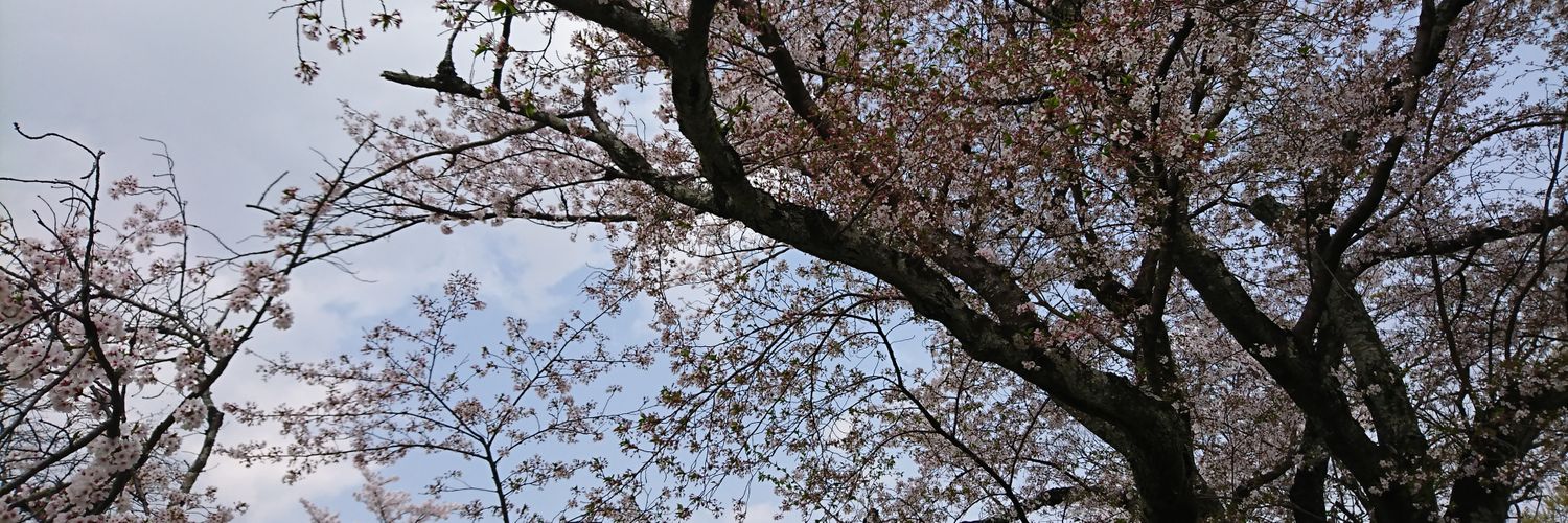 hiroto_2247's profile banner image